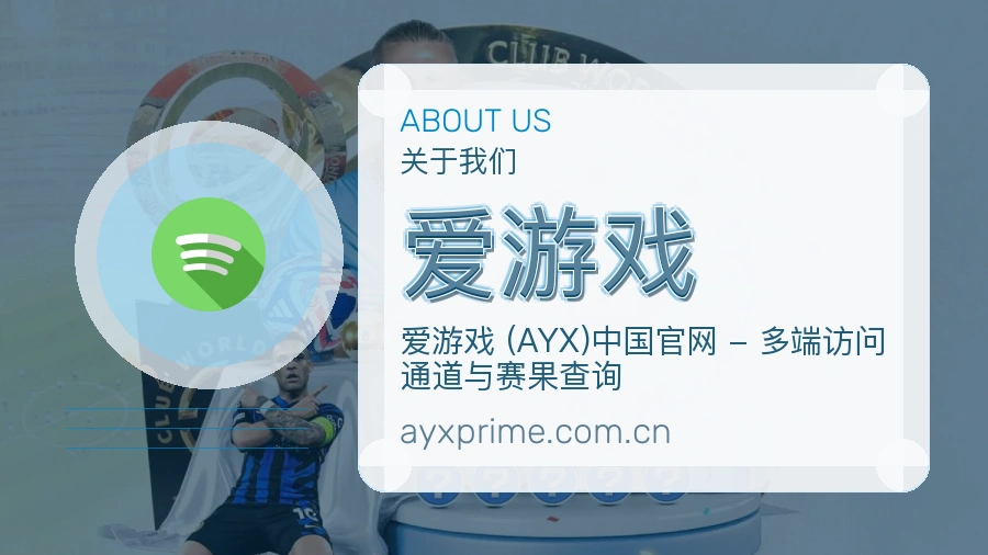 爱游戏关于体育服务